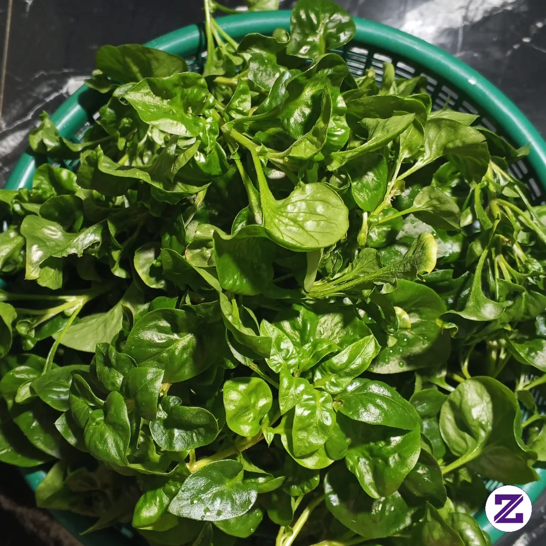 Ada Yang Suka Makan Sayur Ini Juga???