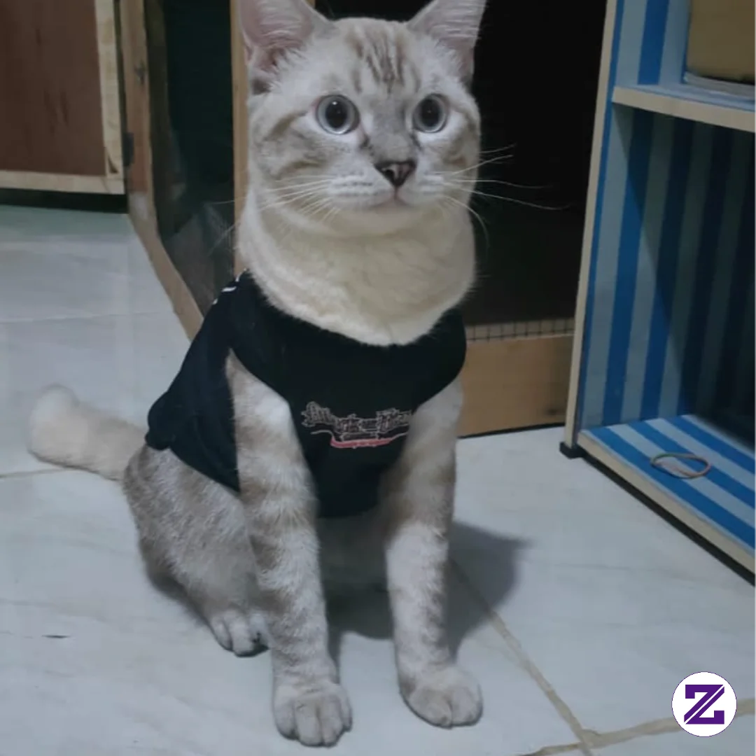 Pose Dulu Ga Si