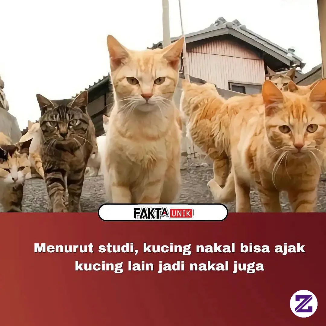 Sebuah Studi Terbaru Menunjukkan Bahwa Perilaku "nakal" Pada Kucing Ternyata