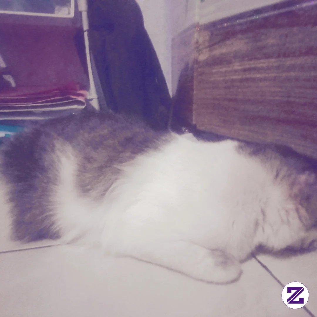 BIkin Gemas.ada Aja Kelakuan C Gemoyy Mocin.tidur Sambil Nyungsepp