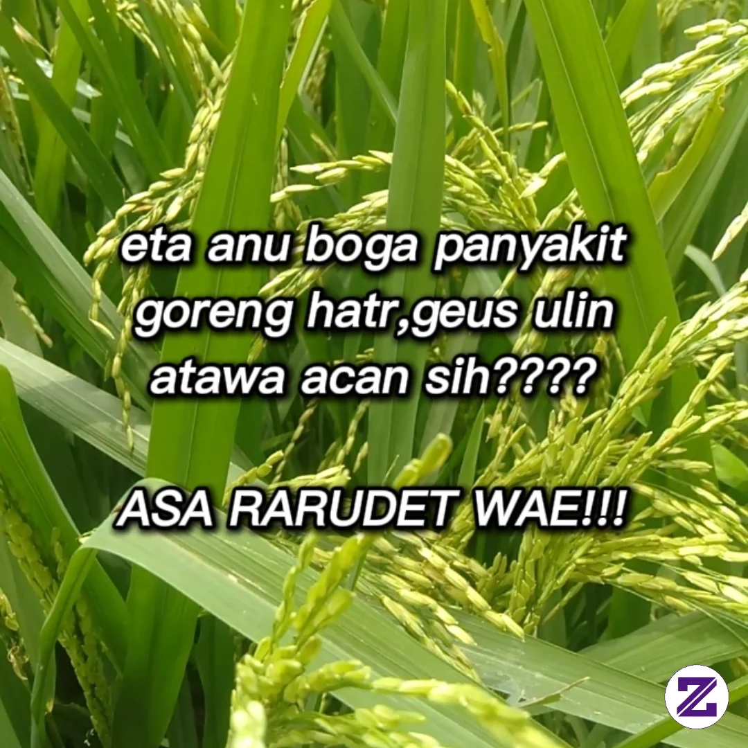 Asa Ngan Rarudet Wae