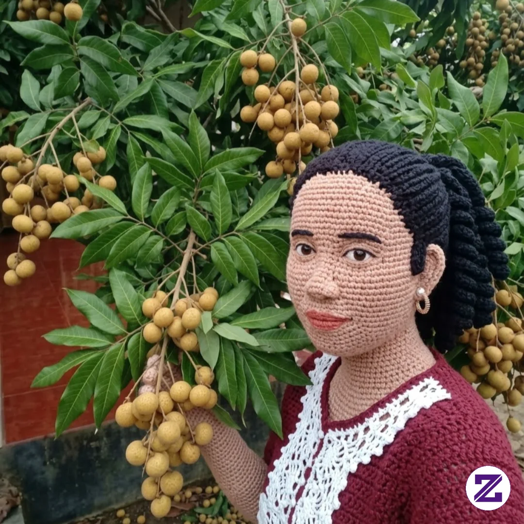 Hallo ,Panen Kelengkeng Didepan Rumah