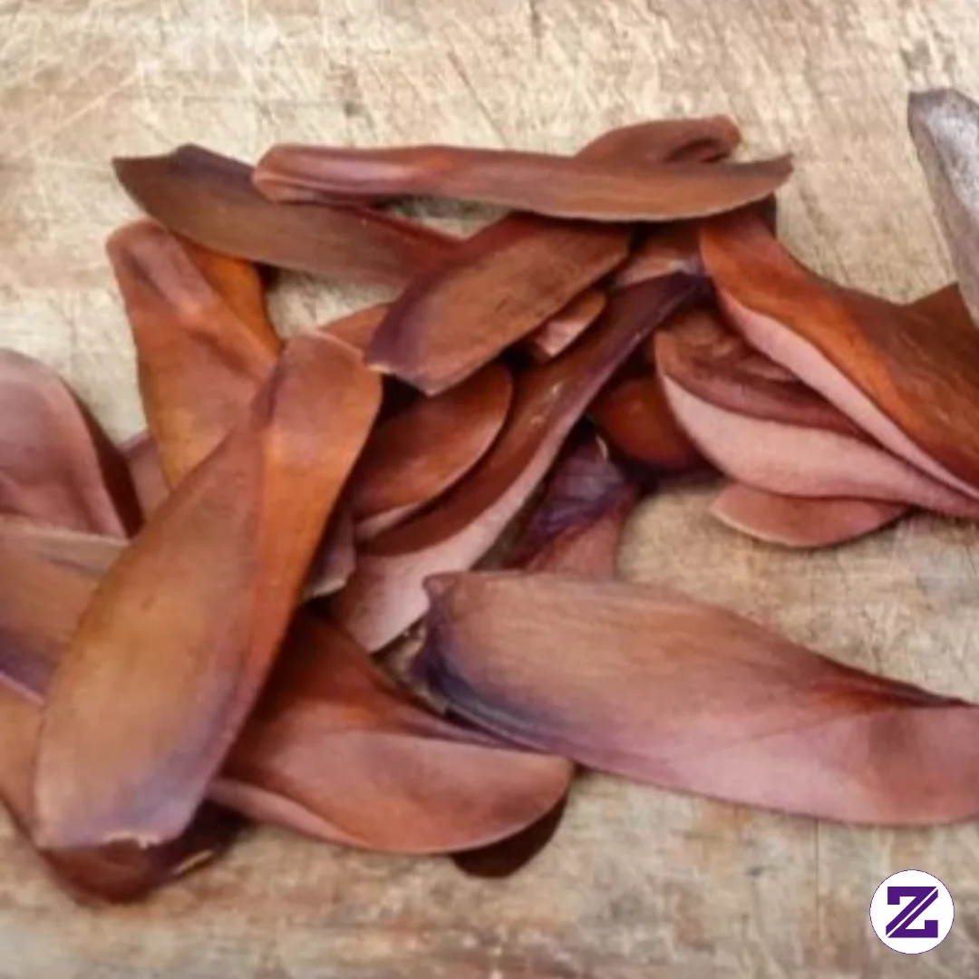 Biji Mahoni (Swietenia Macrophylla) Kaya Akan Kandungan Flavonoid, Saponin, Dan