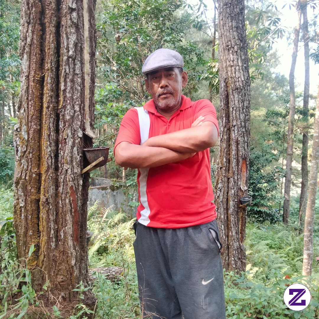 Ini Merupakan Potret Ditengah Hutan Pinus Daerah Kebumen Jawa Tengah...