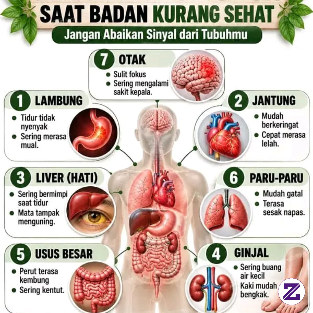 TANDA /Signal Tubuh Saat Kurang Sehat Ini Harus Kita Pahami Dan Rasakan Jangan