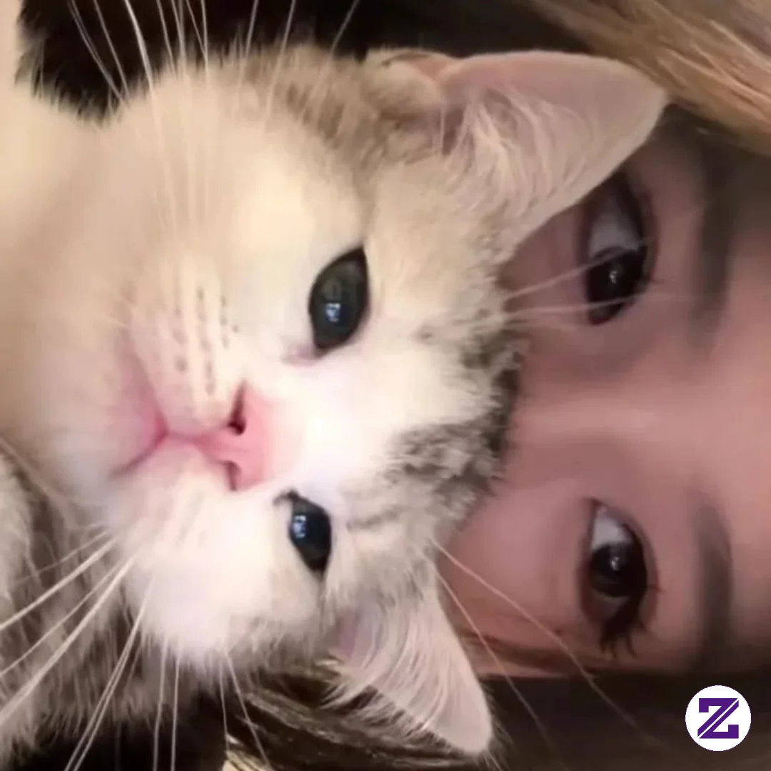 Selamat Siang Semua,menurut Kalian Lucuan Kucing Nya Apa Aku?