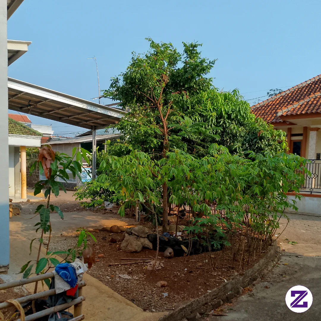 Semangat Pagi Semua Sahabat Zoyalink Semoga Semua Sehat Selalu