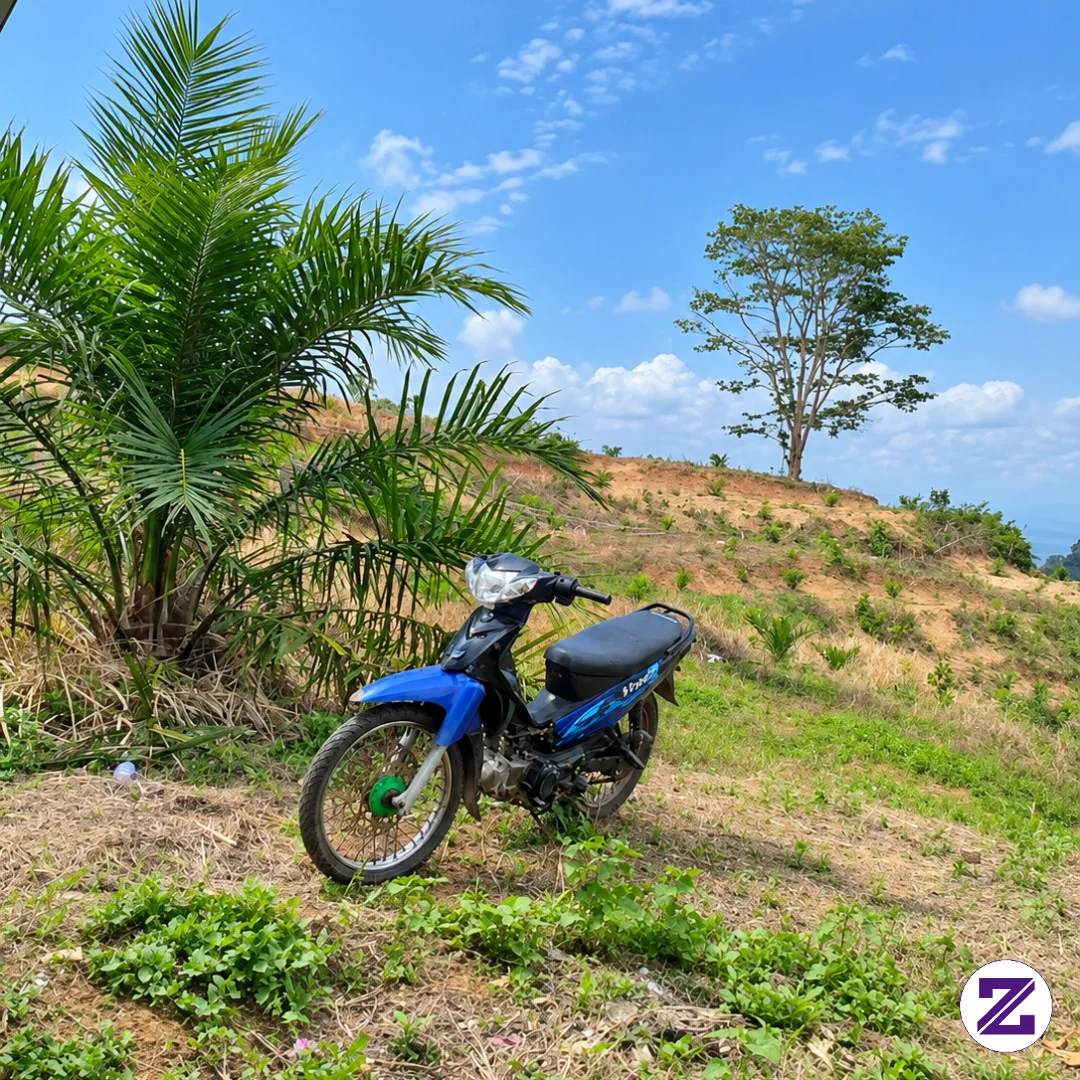 Kalau Kemarin Di Kota Sekarang Di Kebun.