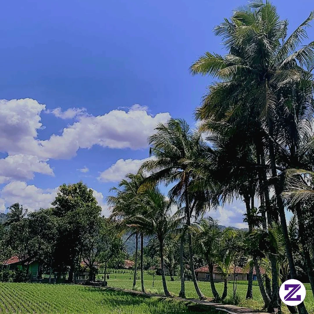 Pemandangan Indah Di Kampungku