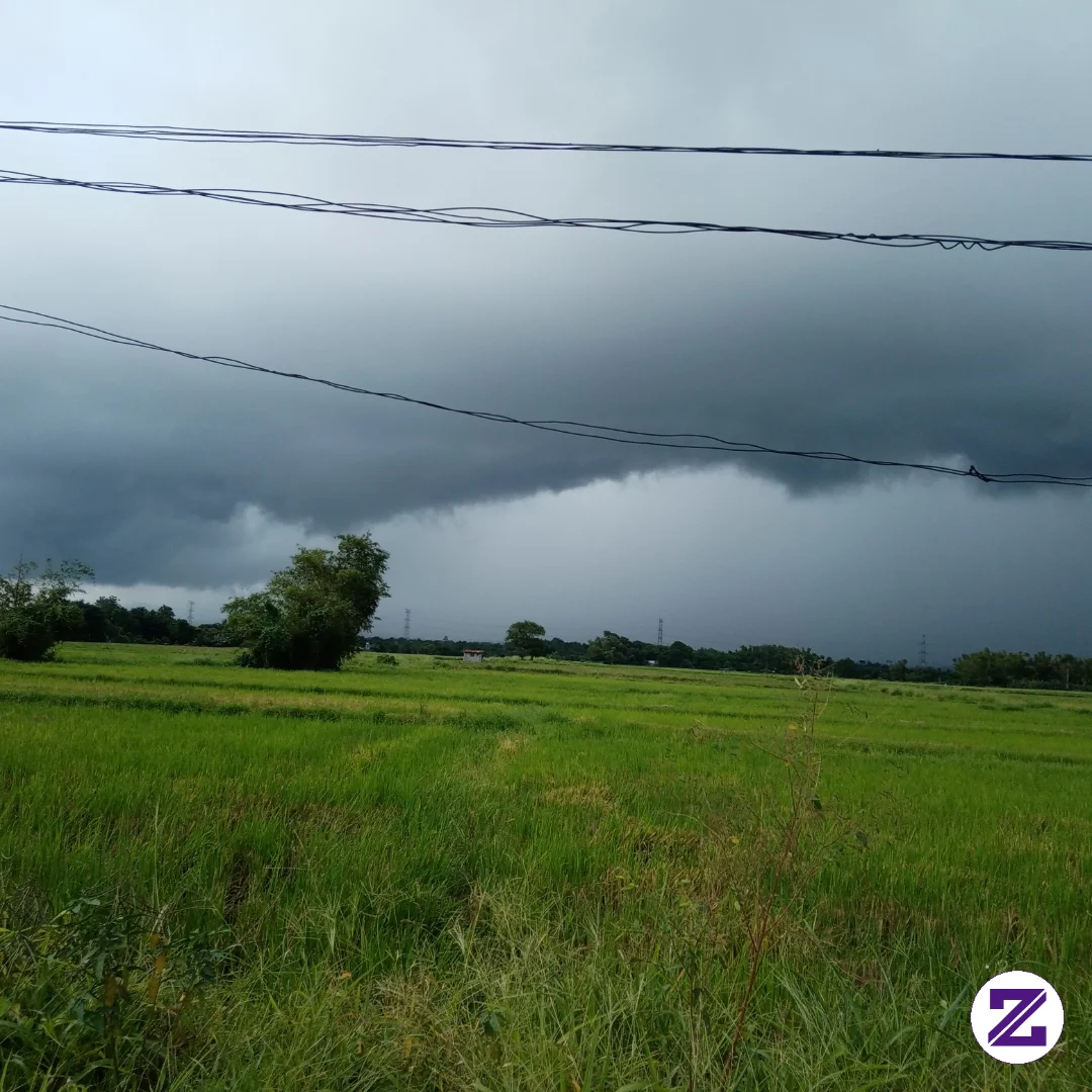 Rain Is Coming!!!