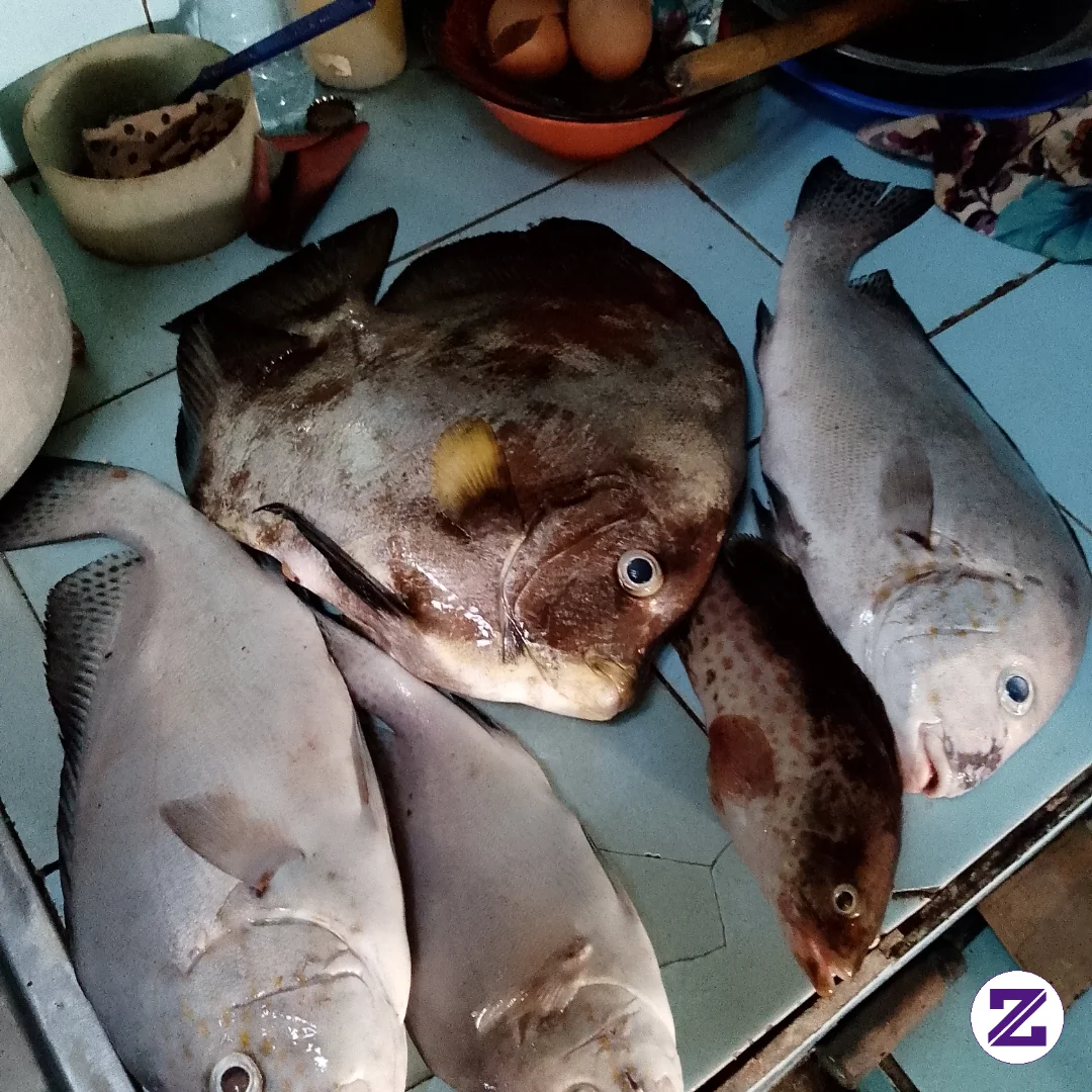 Rezekiku Di Takdirkan Cuma Segelas Tapi Aku Nekad Bawa Baskom🥰🤲