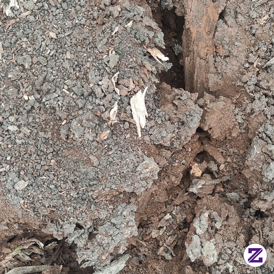 Tanah Retak Karna Kekeringan Kalimantan Timur