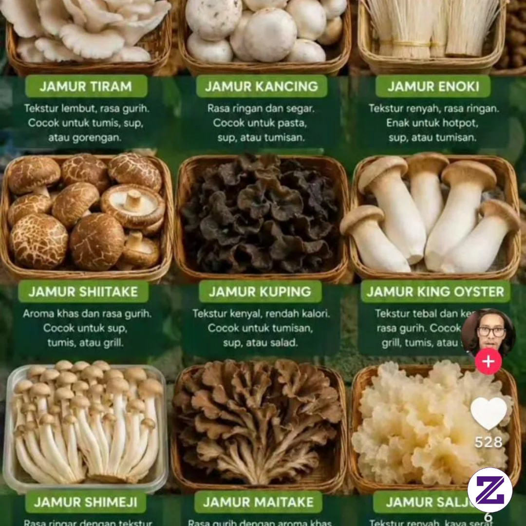 Jamur Mana Aja Yg Sudah Kalian Coba?