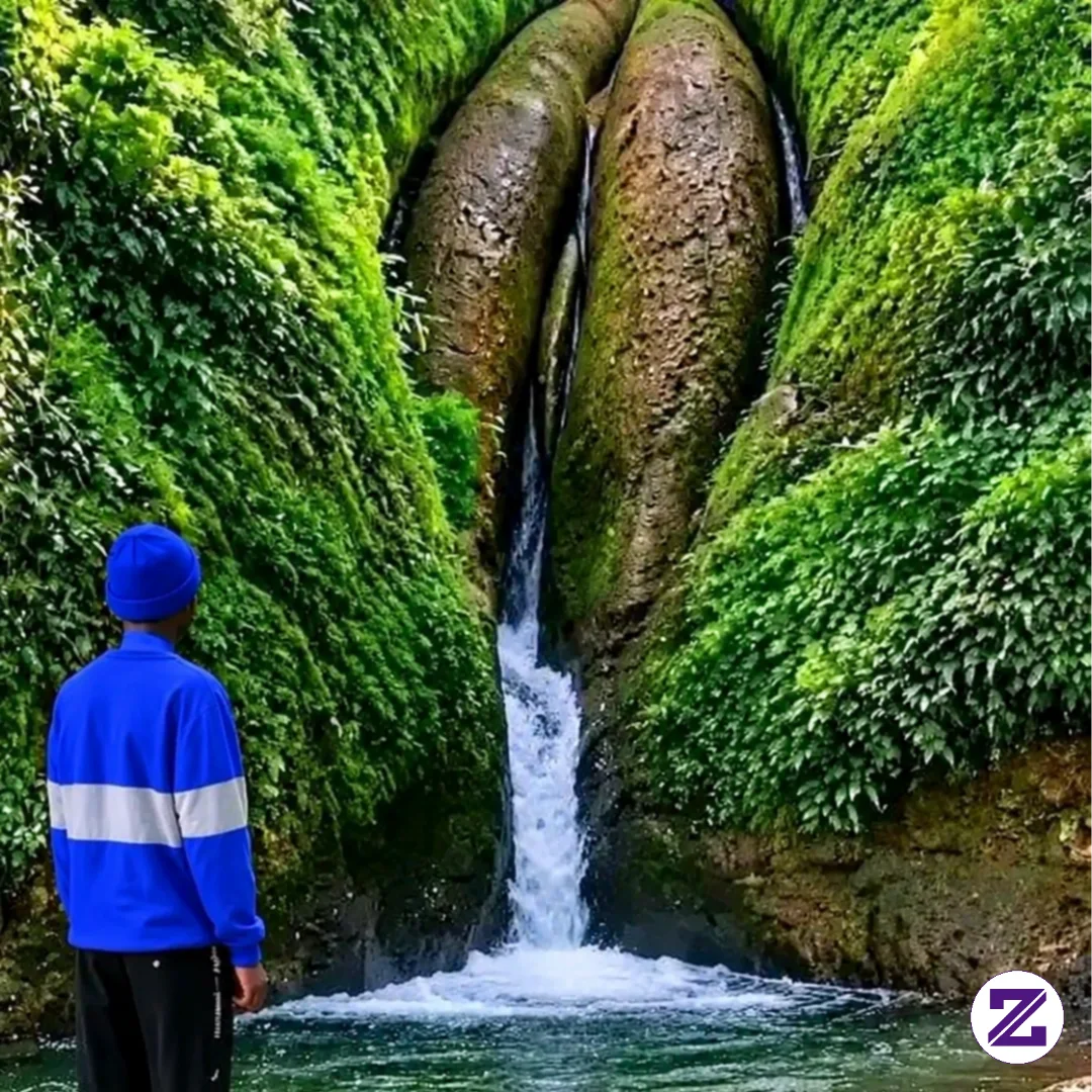 Guess The Name