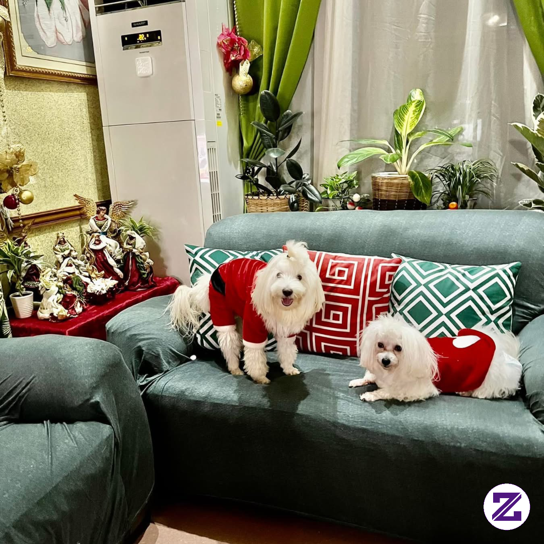 Tender Loving Care With Our Pets