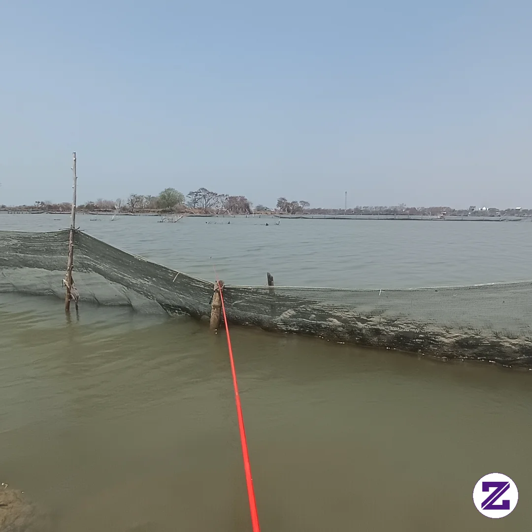 Mancing Dululah #mancingmania