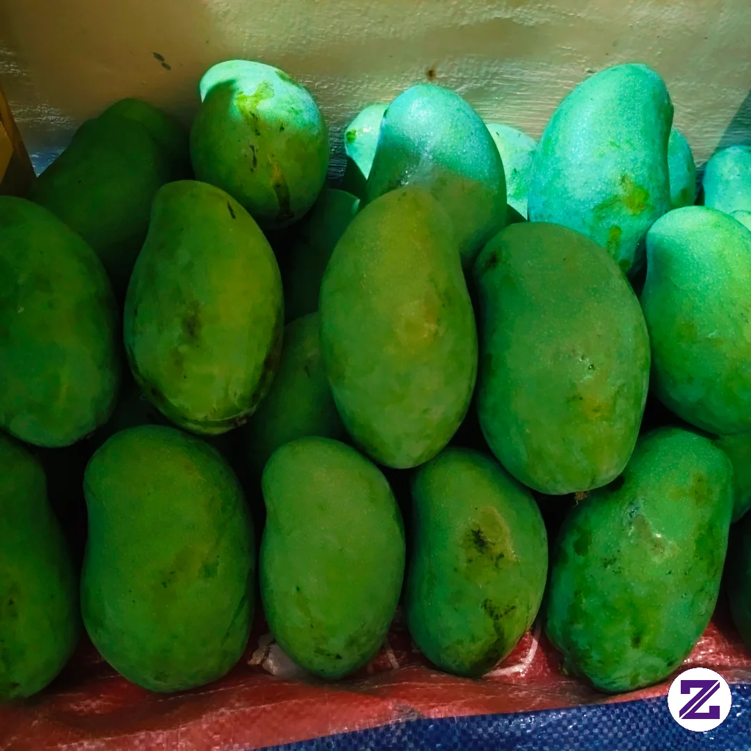 Lagi Musim Mangga, Tempat Kalian Musim Apa?