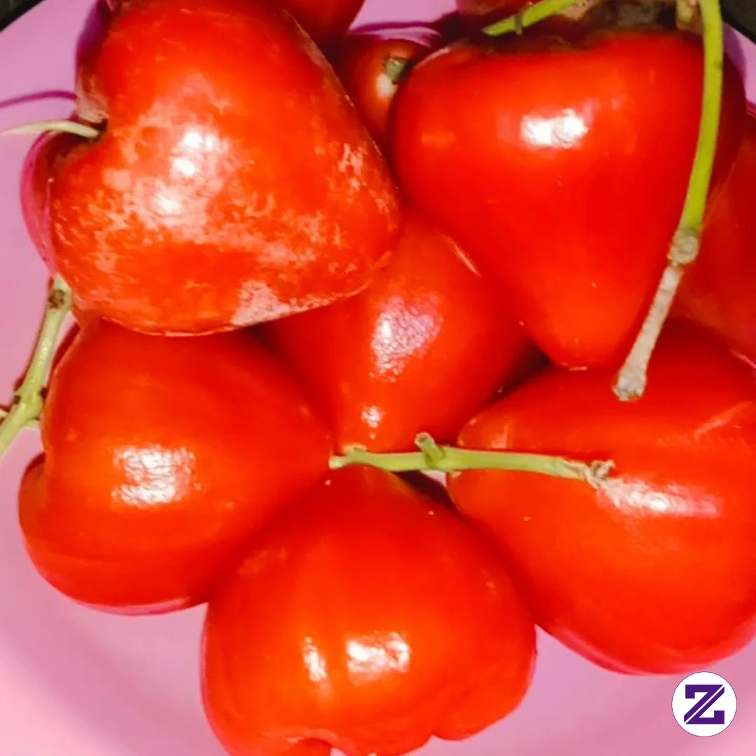 Merah Merona Warna Nya