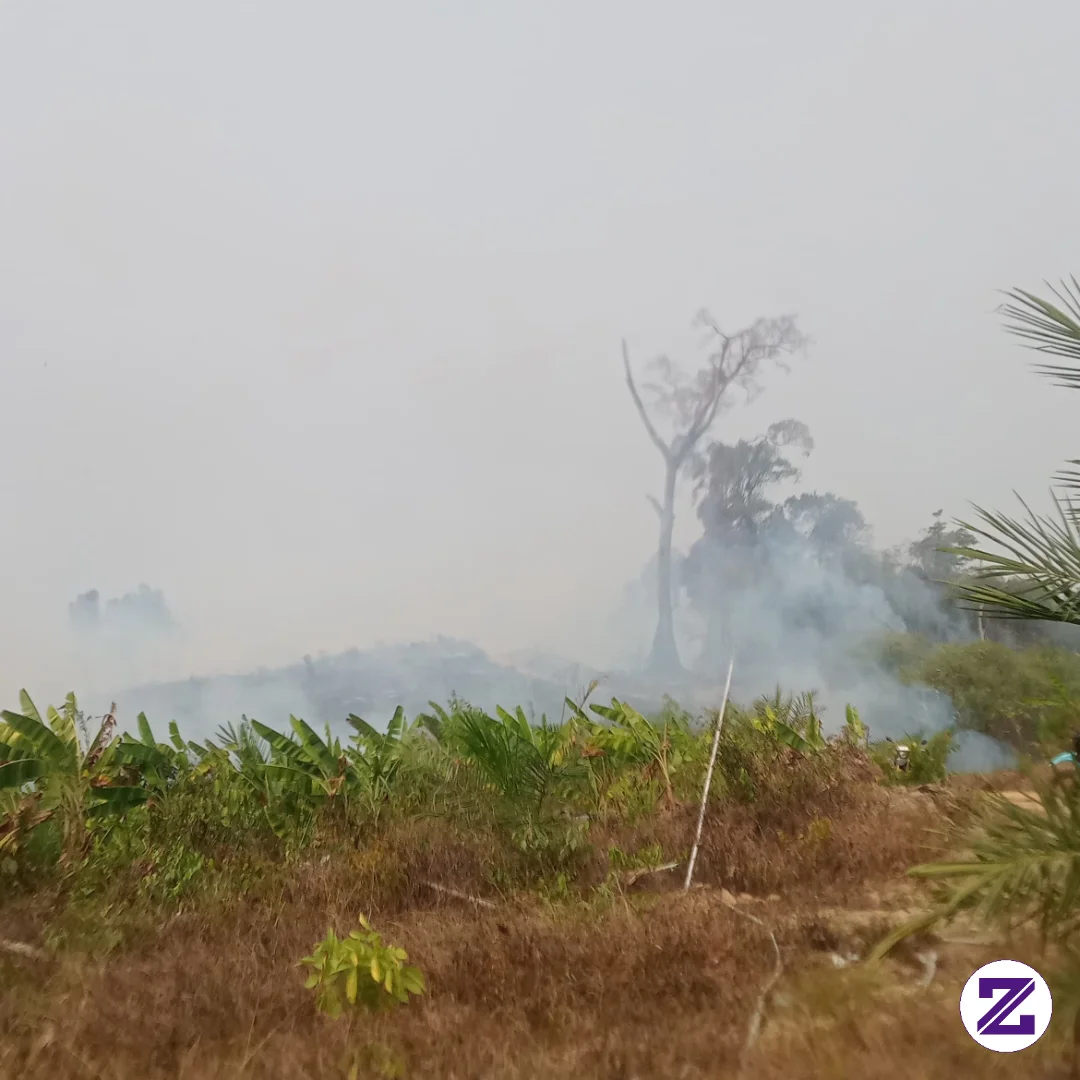Kebakaran Hutan Dan Lahan Desa Pinang Jatus Kan Paser
