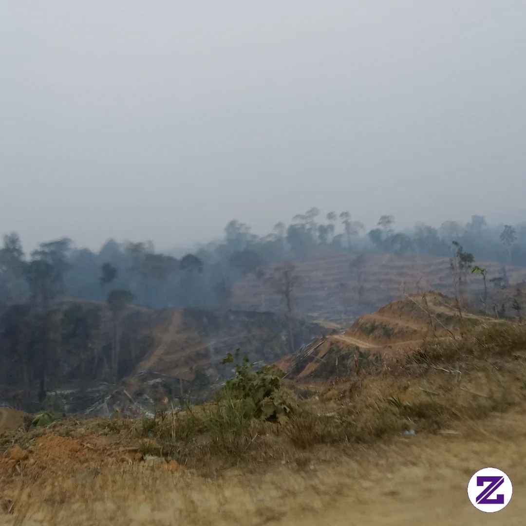 Asap Kebakaran Lahan Dan Hutan