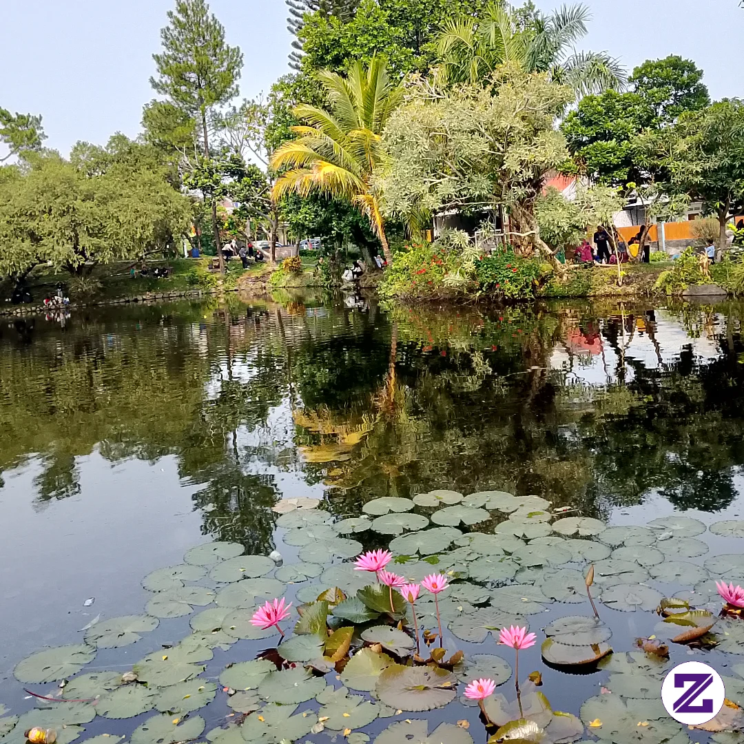 Pemandangan Yang Indah.