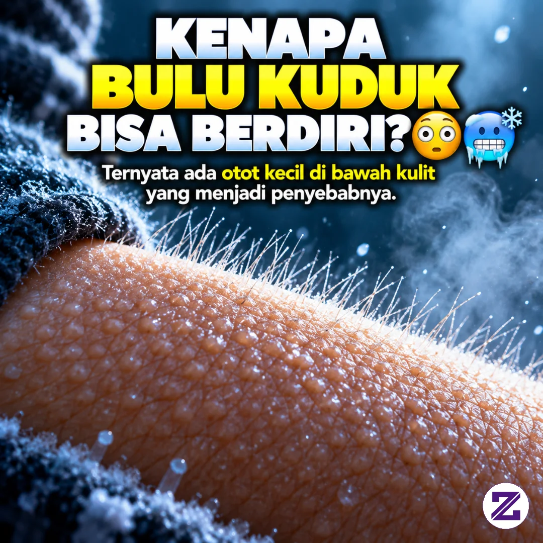 Pernah Tiba-tiba Merinding Dan Bulu Kuduk Berdiri? 😳
