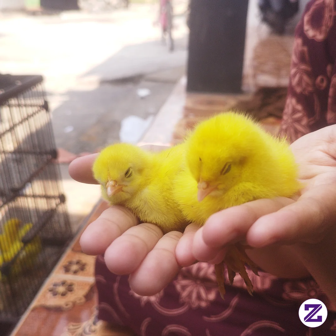 CERITA 1 : JANGAN TAKUT, KECIL... ADA TANGAN YANG MENJAGAMU.