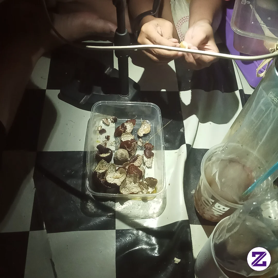 Saat Dunia Gelap