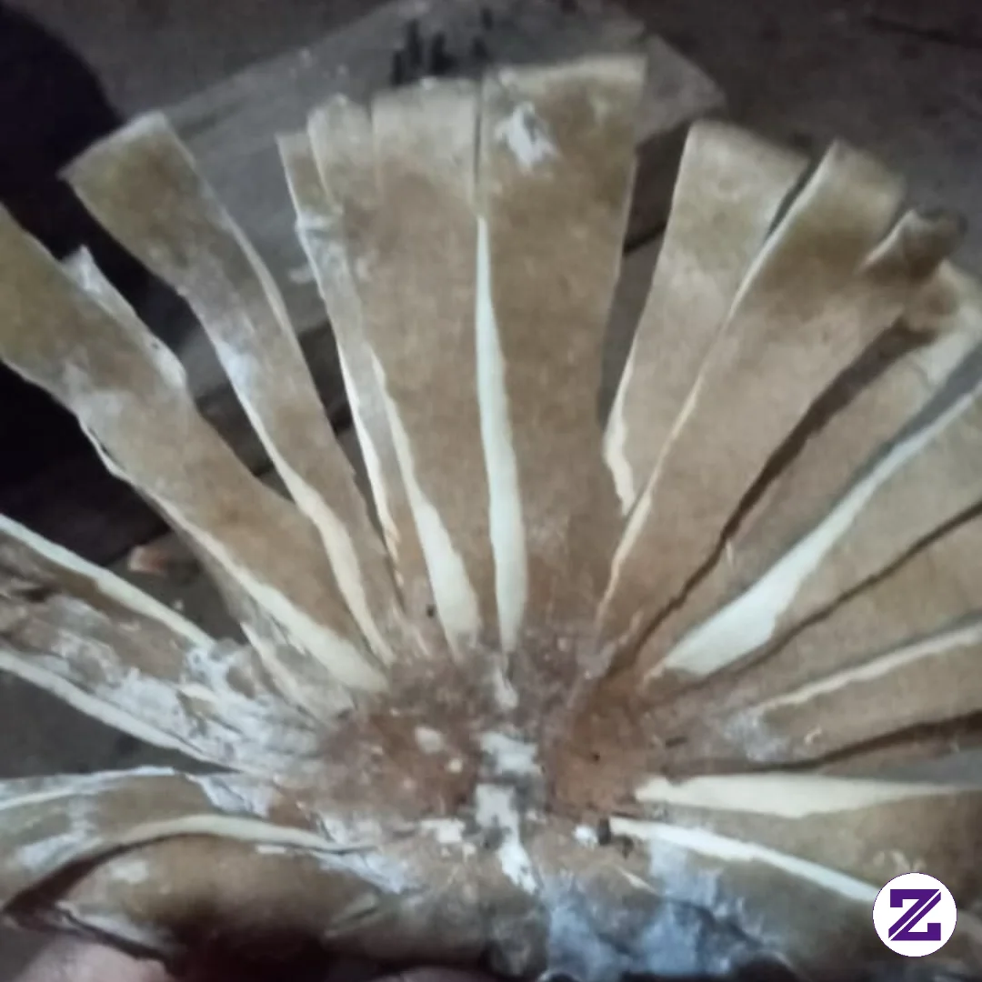Ayo Coba Tebak Ini Apa🤭🤭