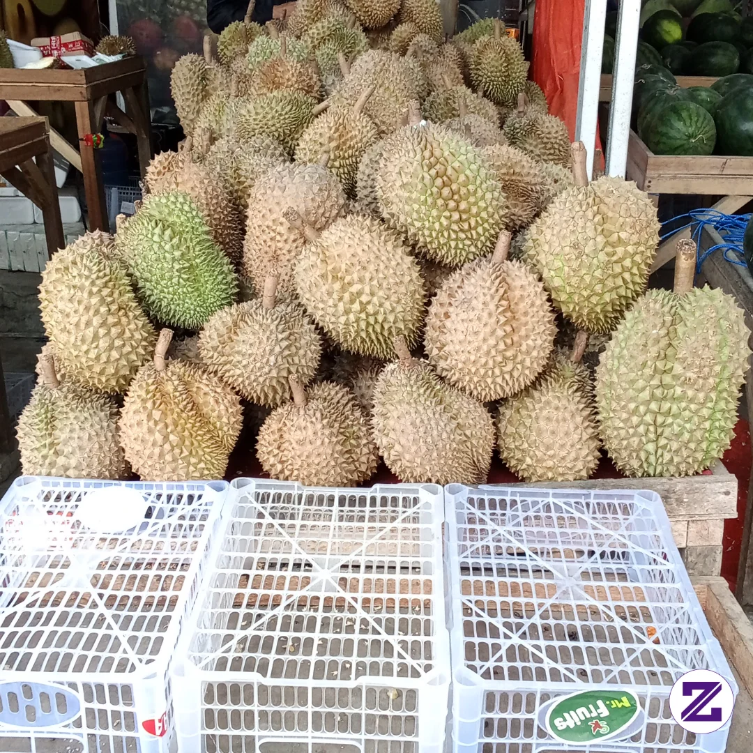Yang Mampir Aku Kasi Duren Skalian Aku Follow 🤗 No PHP