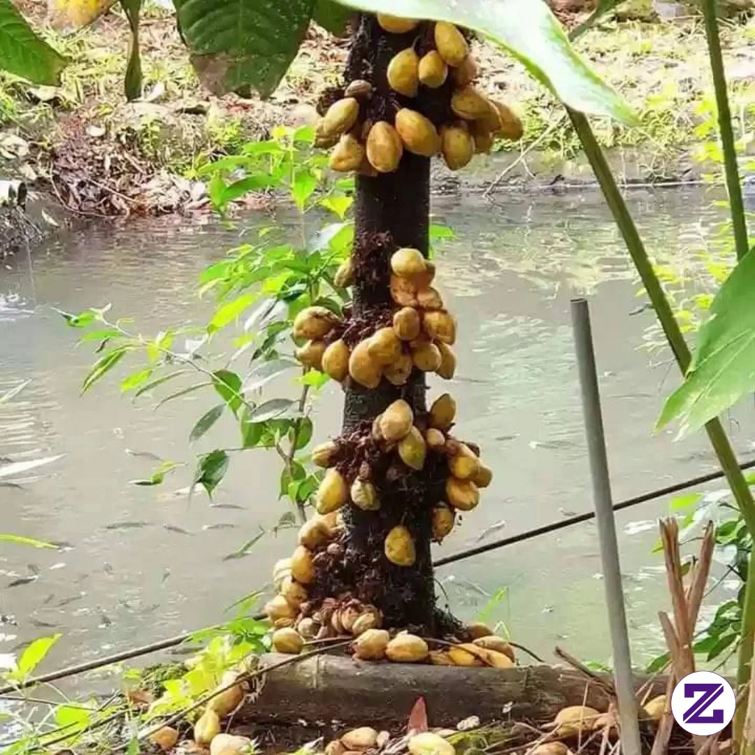 Semangat Pagi Selamat Menjemput Rezeki