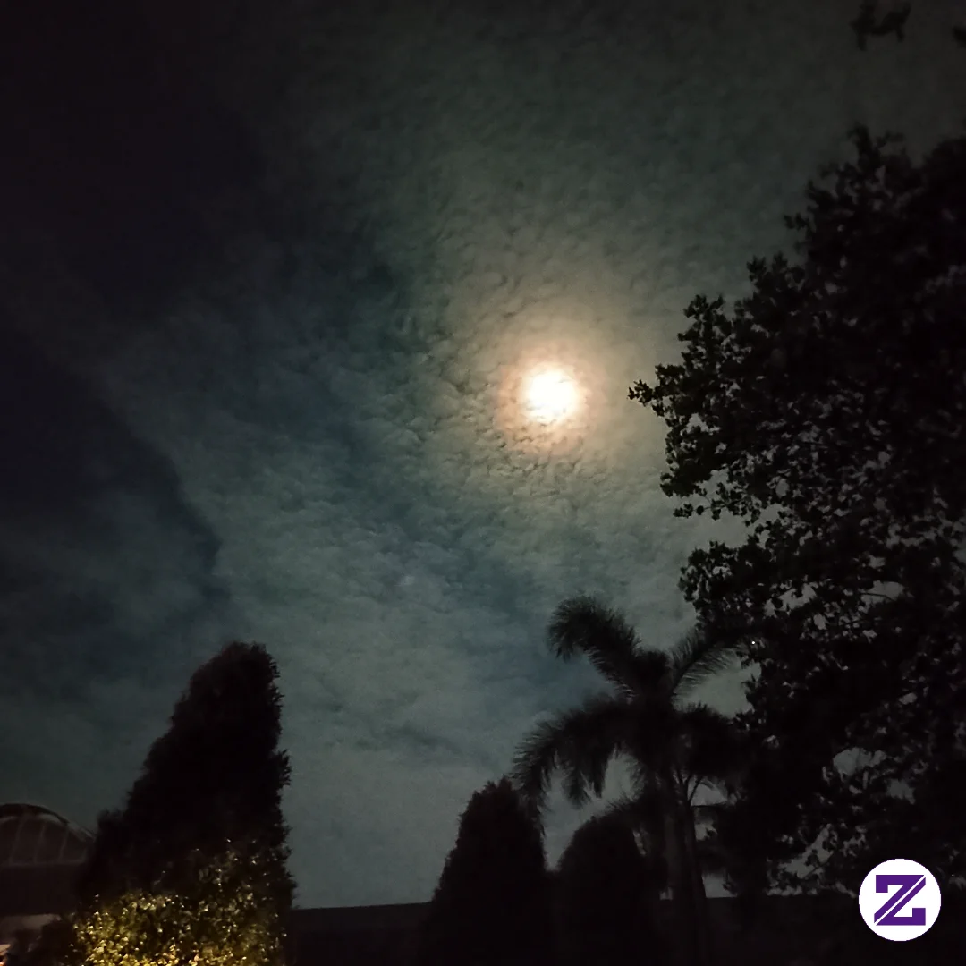 Dimalam Yang Dingin