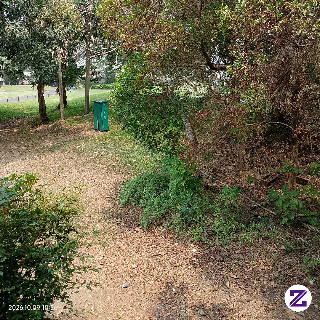 Gambar Berkebun Di Belakang Rumah kategori Umum dipublikasikan oleh Ali Mustopa di Zoyalink