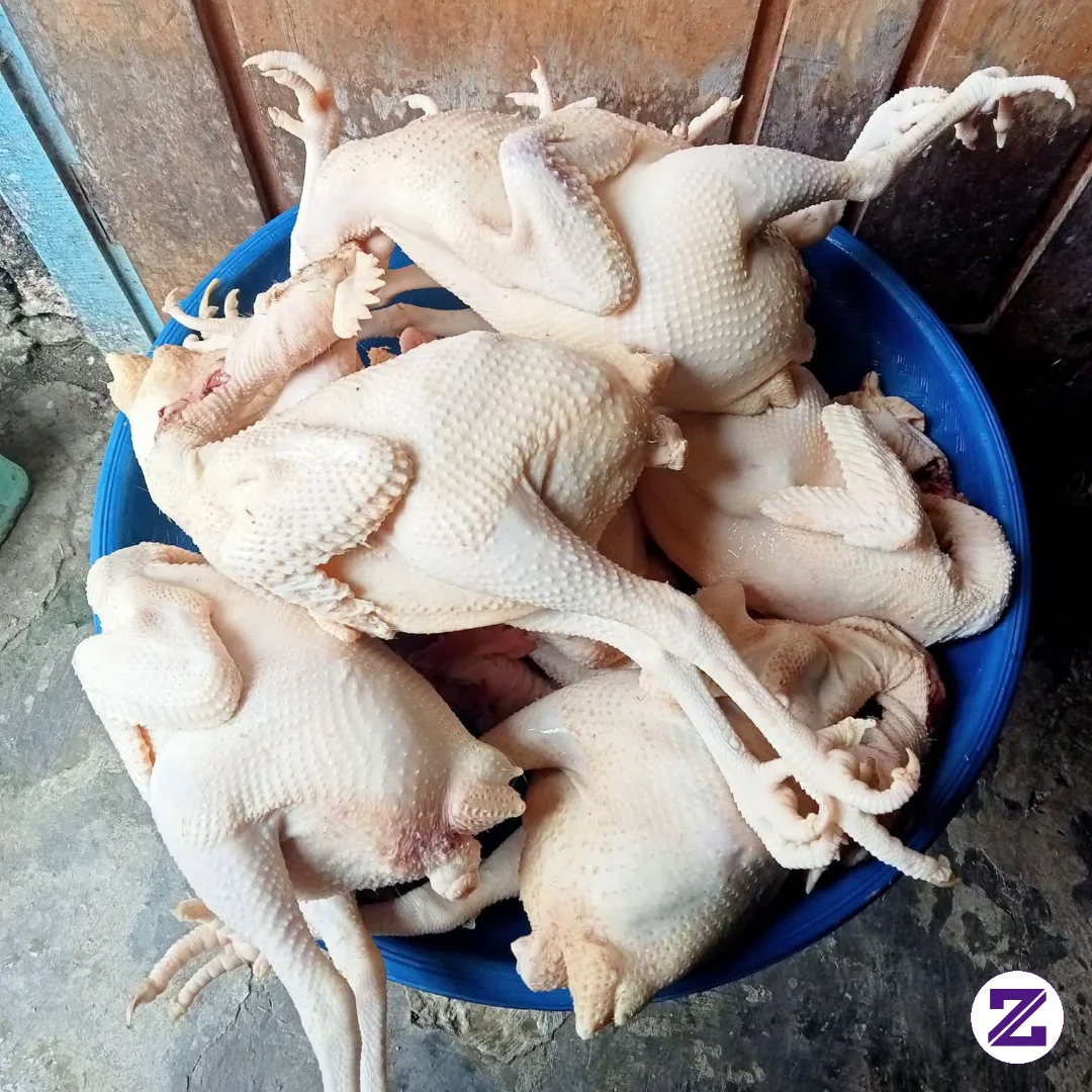 Zaman Sekarang Nyari Kerja Sulit Lur, Sekarang Generasi Muda Harus Berdikari.