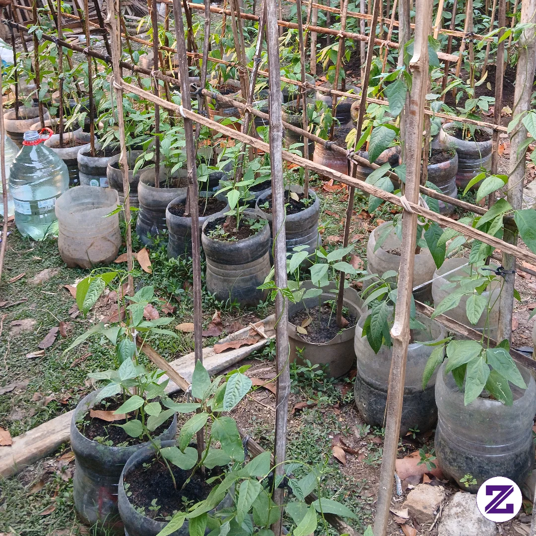 Jangan Pernah Tertipu Oleh Tampilan Luar