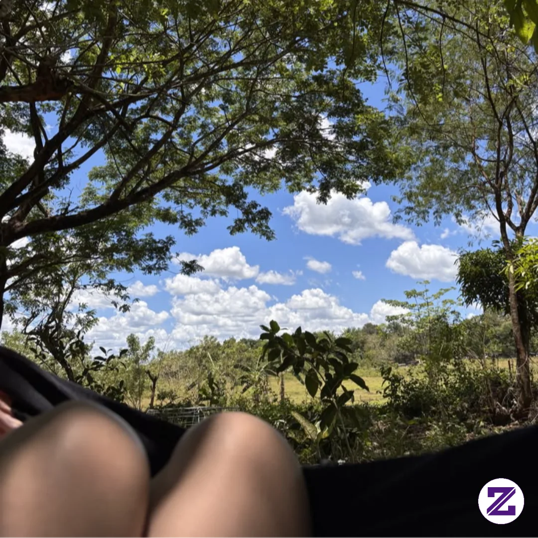 Chilling With The Beautiful View