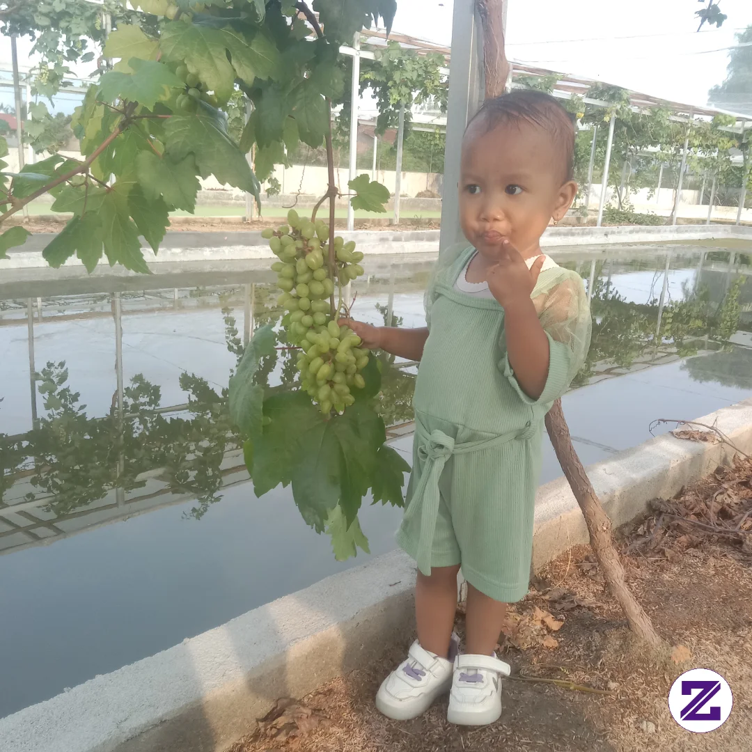 Mau Anggur Om..... Tante......