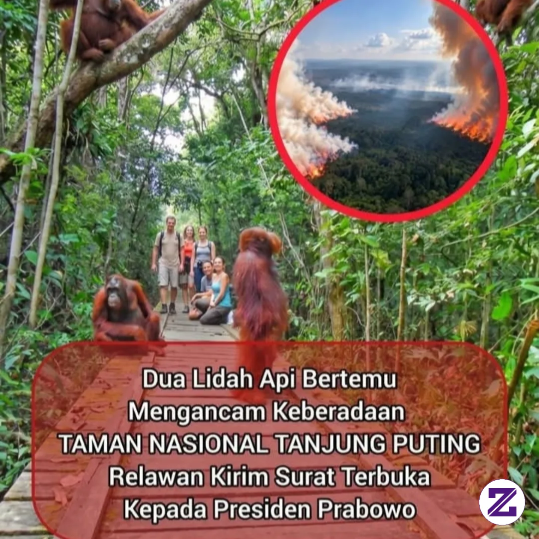 Taman Nasional Tanjung Puting (TNTP) Di Kalimantan Tengah Yang Dikenal Global