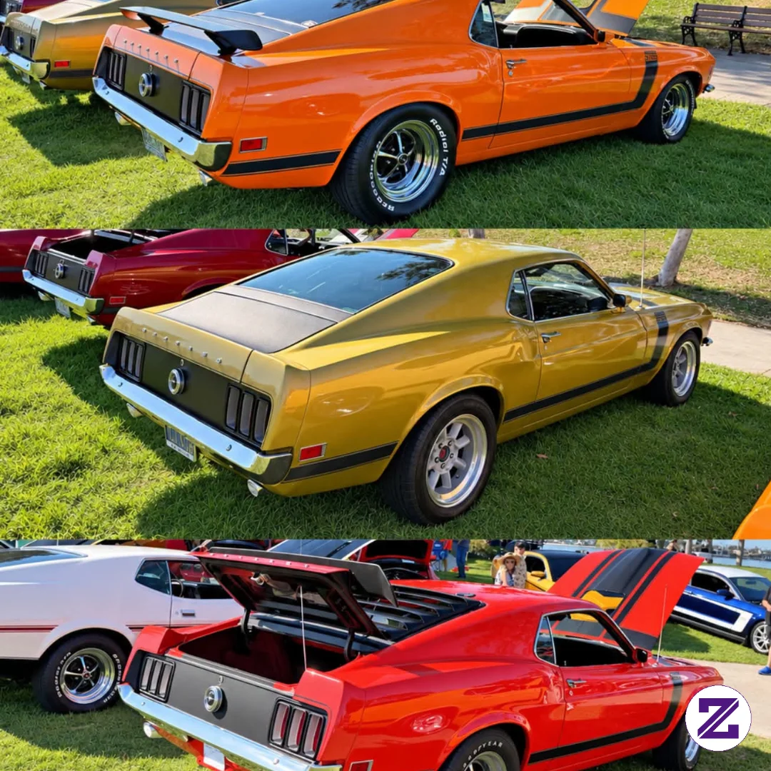 Which Mustang Color Is Your Favorite: Orange, Gold, Or Red? 🧡💛❤️