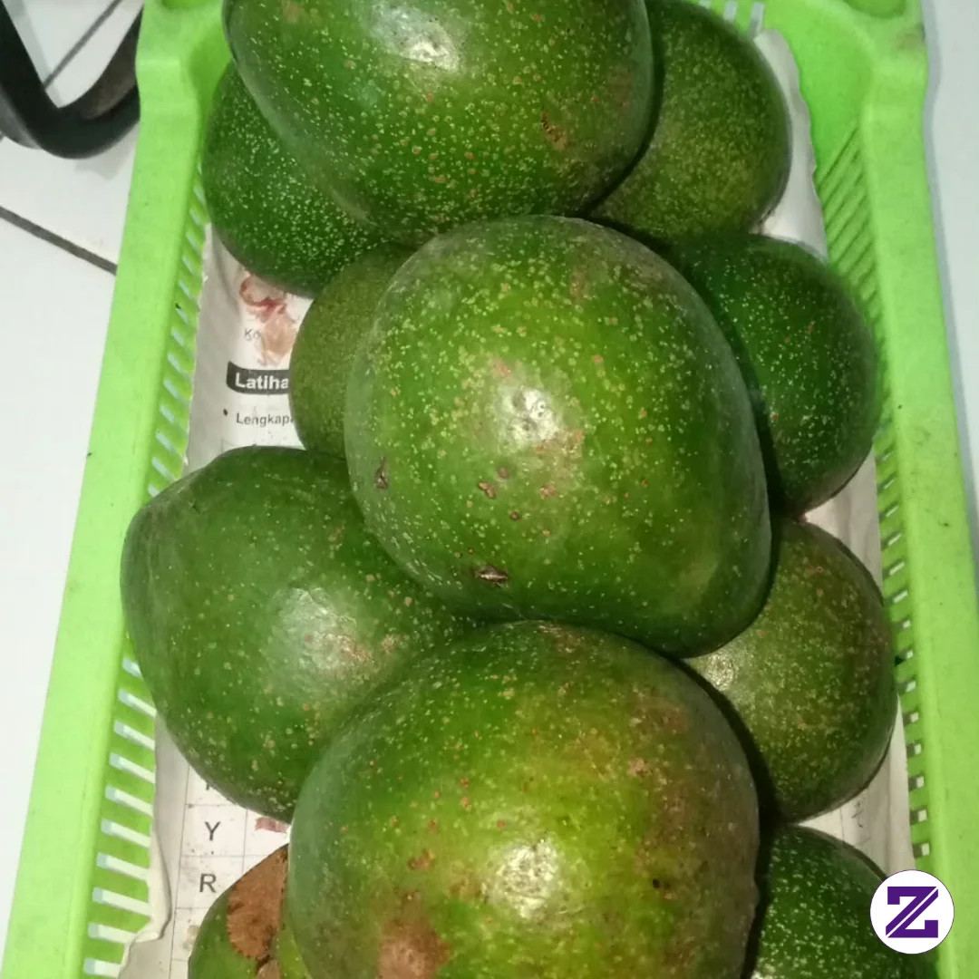 Alpukat Segar, Siap Bikin Hari Makin Sehat! 💚