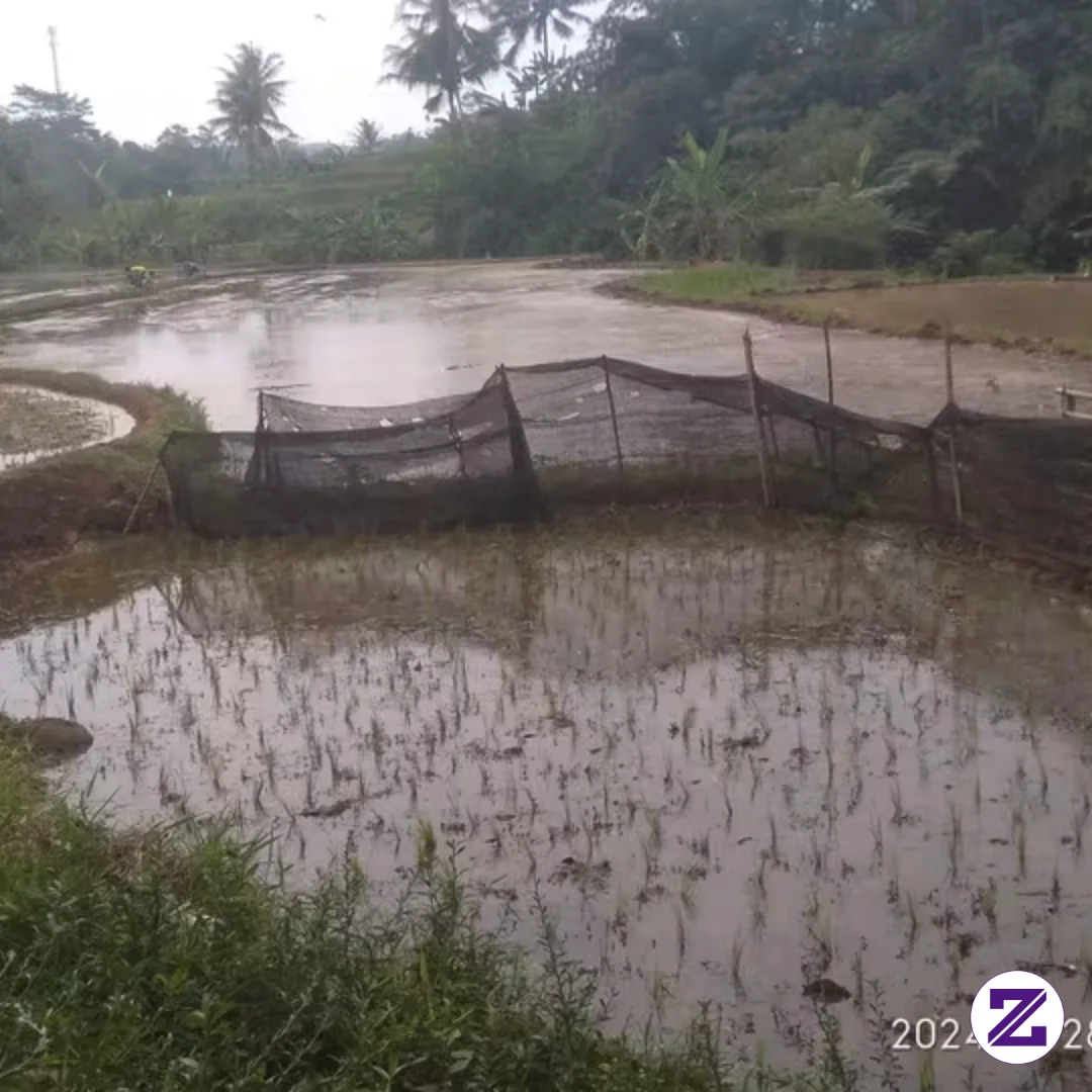 Kampung Halaman Sukabumi Gak Tau Ini Tahun Berapa Ya Lupa