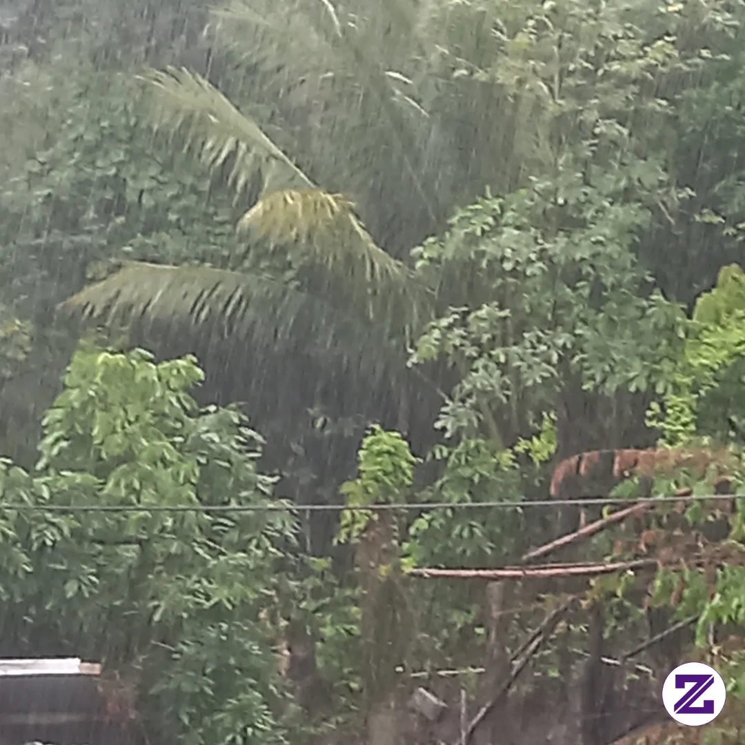 Rainy Day Again Not Buying It