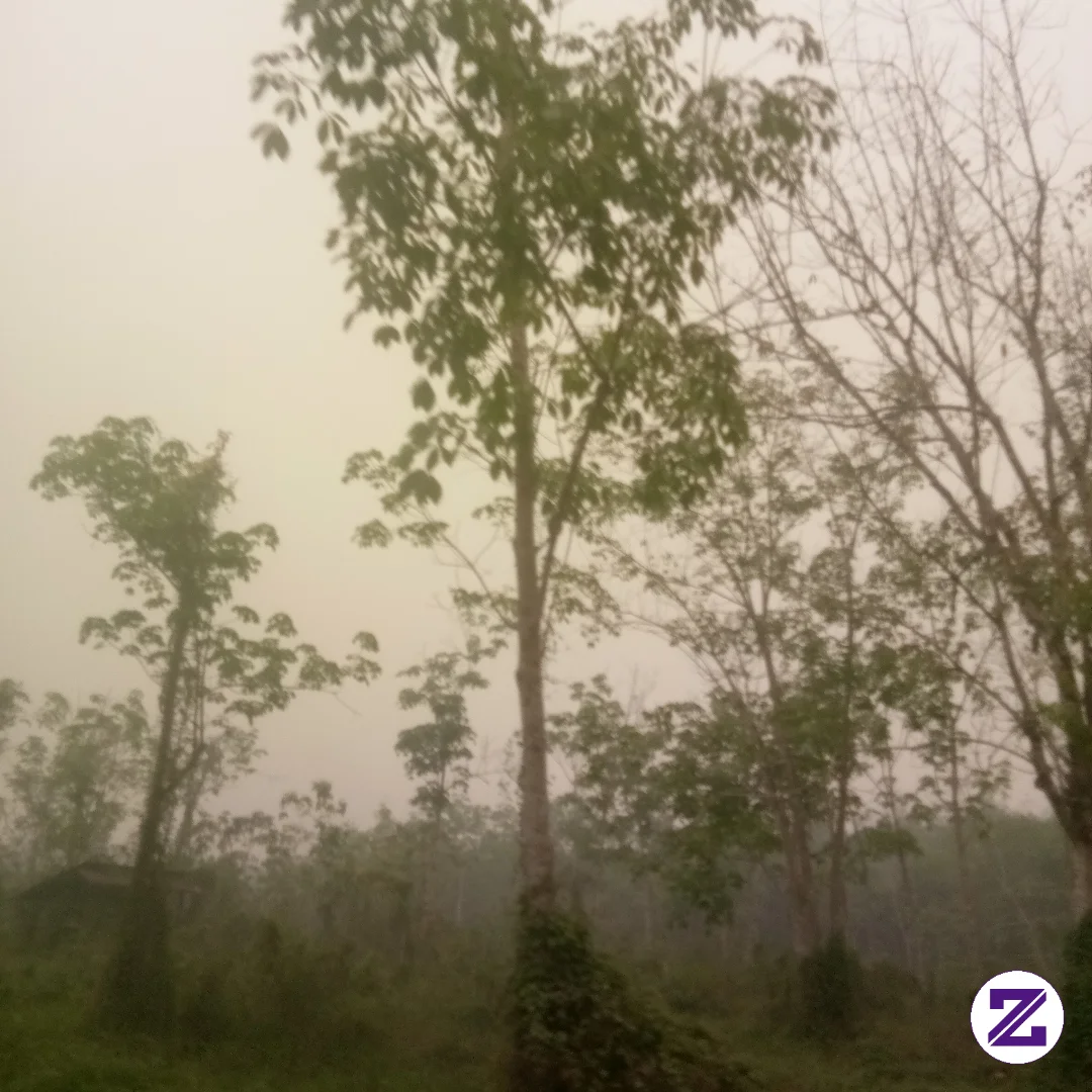 Tiada Hari Tanpa Karhutla