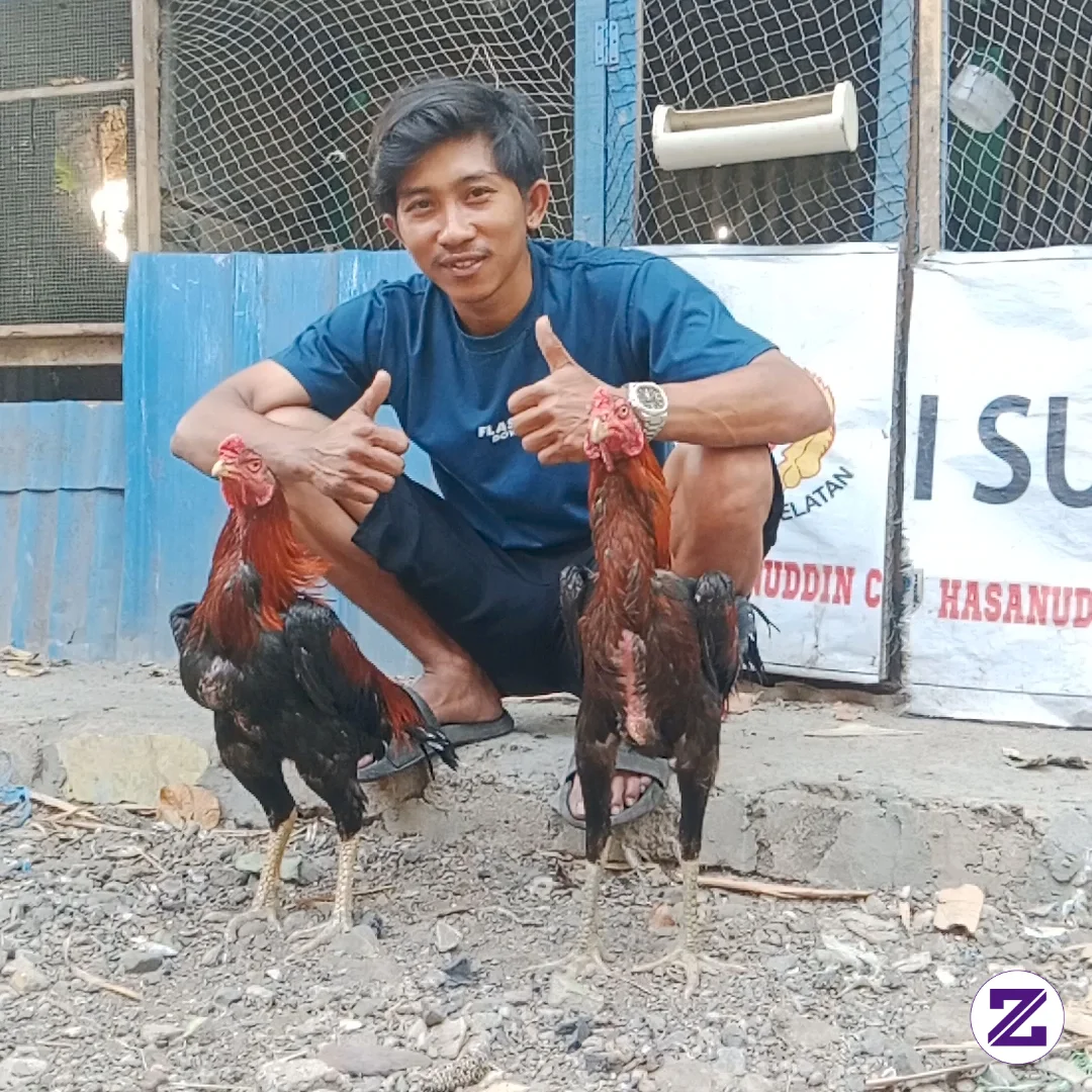 Ayam Bangkok