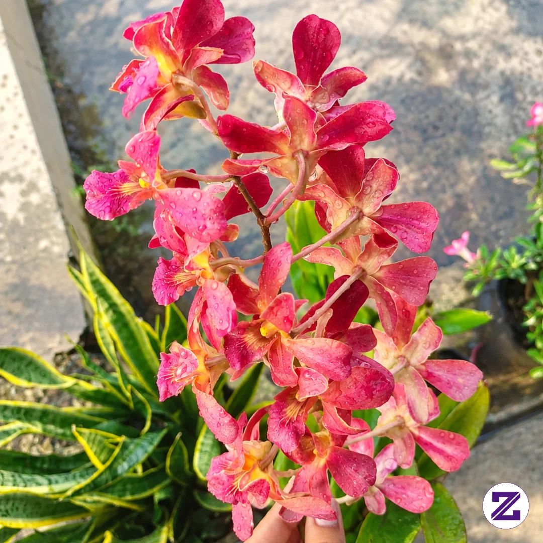 Anggun Tanpa Harus Berlebihan🌺