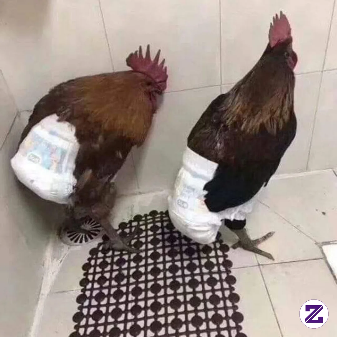 Apa Yang Kurang Nih.?