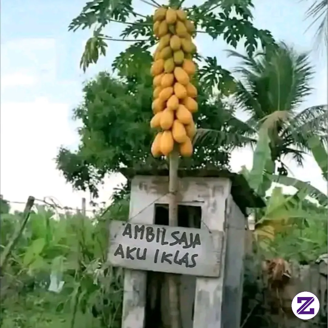 Haduhhh..mau Mandi Malah Air PAM Mati....