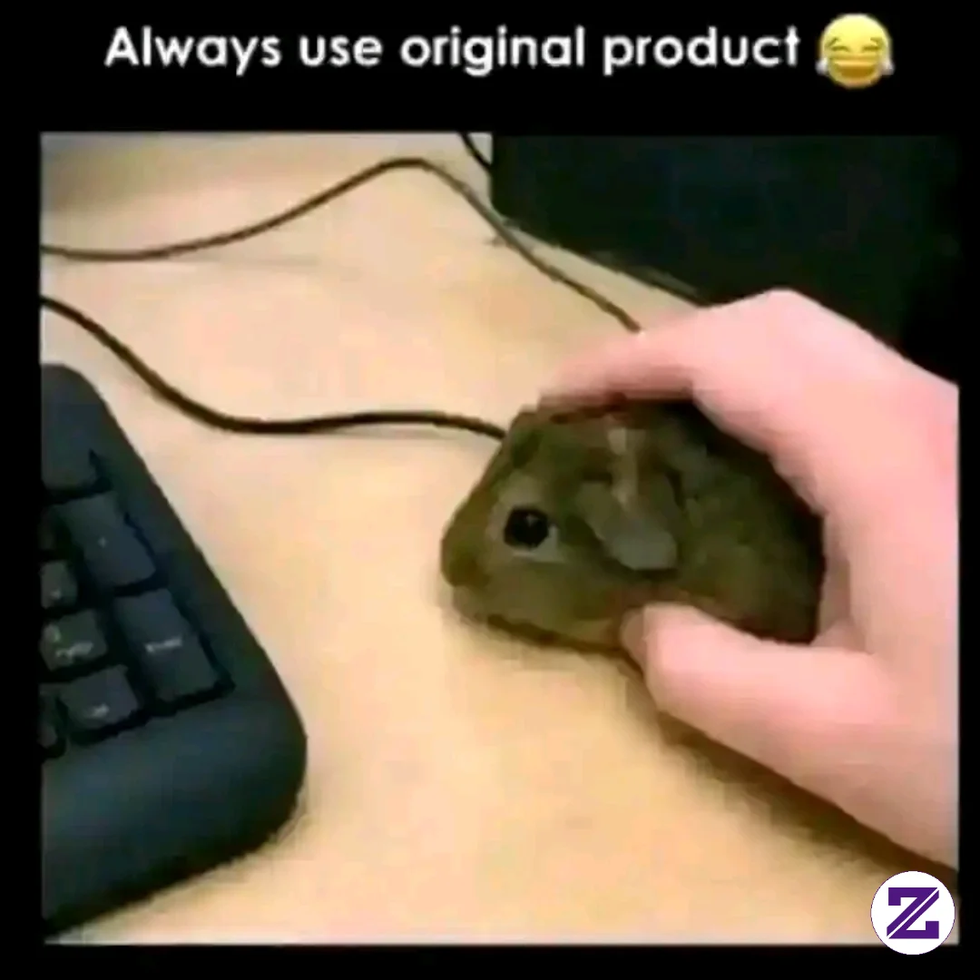 Original Mouse For Laptop Users