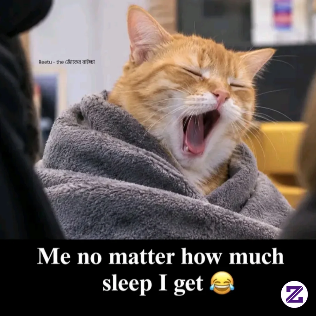 Sleepy Again