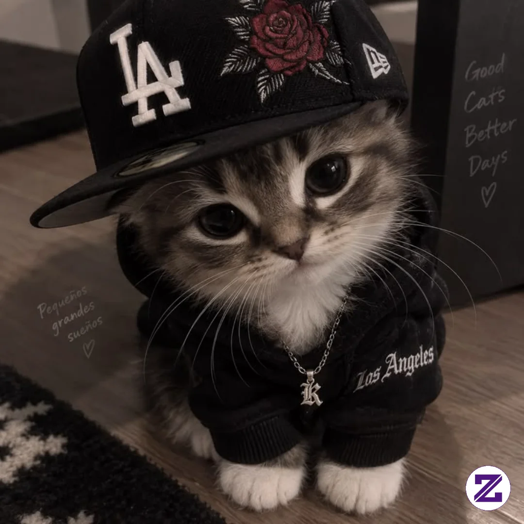 KUCING NYA LUCU YAA🥰🥰